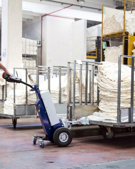 M1 Zallys Trainatore