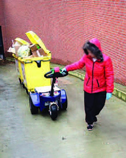 M4 Zallys Trainatore