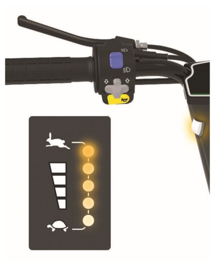 S1 Zallys Trattorino elettrico