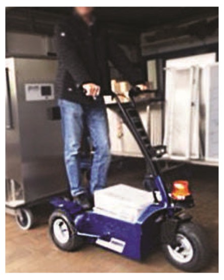 K3 Zallys Portapersone elettrico