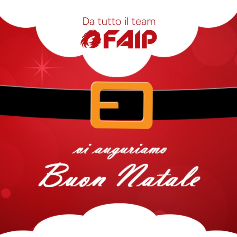 Buon Natale e felice anno nuovo da FAip