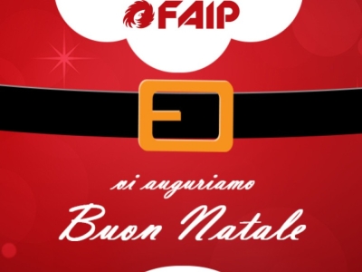 Buon Natale e felice anno nuovo da FAip